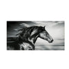 Black and white photograph of a horse galloping against a cloudy sky.