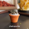A small piece of gray chalcopyrite crystal is displayed in an orange terracotta pot on a dark surface.