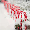 Red and white candy cane pathway lights lining a snowy path.