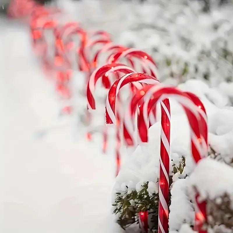 Red and white candy cane pathway lights lining a snowy path.