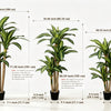 A set of artificial Dracaena trees displayed next to a woman, showing various sizes and dimensions.