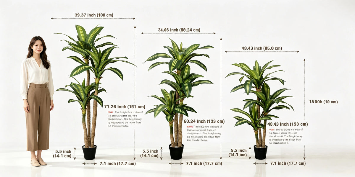 A set of artificial Dracaena trees displayed next to a woman, showing various sizes and dimensions.