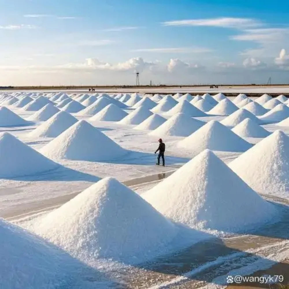 White sea salt crystals piled in conical mounds across a flat, bright landscape under a blue sky.