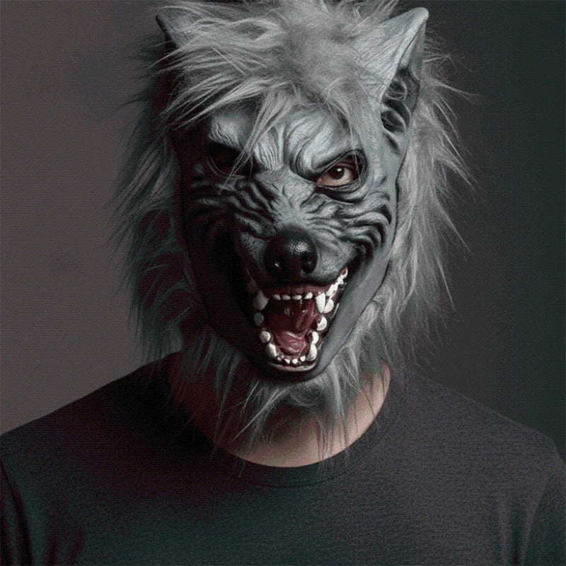 A realistic werewolf full head mask with gray fur and sharp teeth worn by a person.