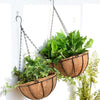 A metal hanging basket with a coconut fiber liner filled with green foliage, suspended against a white wall.