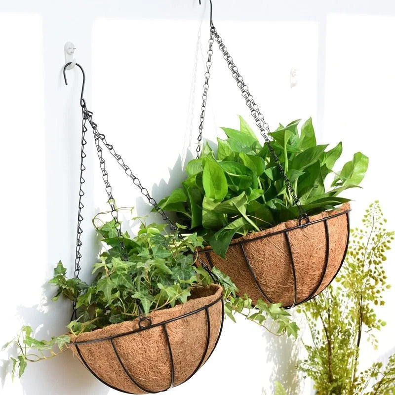 A metal hanging basket with a coconut fiber liner filled with green foliage, suspended against a white wall.