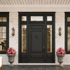 A black door with glass panels is set into a white brick wall, flanked by large potted pink flowers.