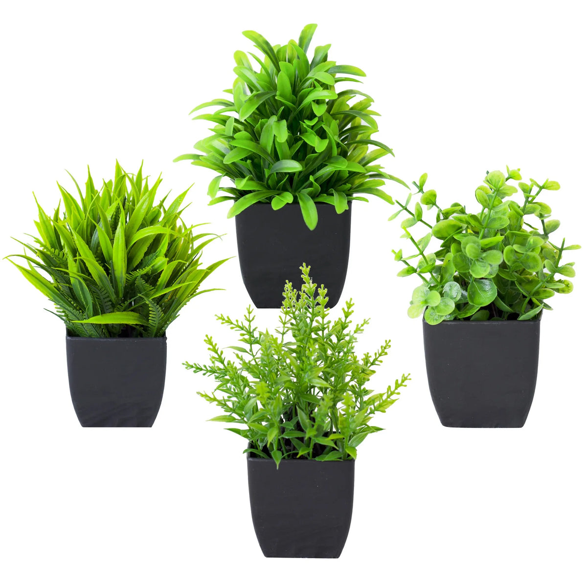 A collection of four small artificial eucalyptus potted plants in black pots.