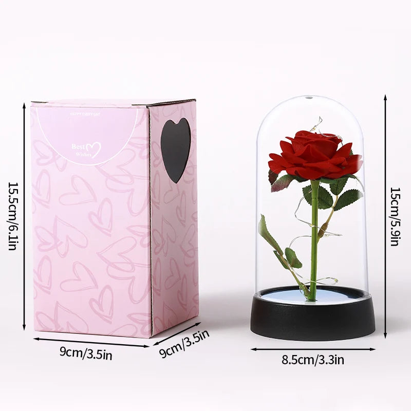 A pink box containing an eternal rose displayed inside a clear glass dome.