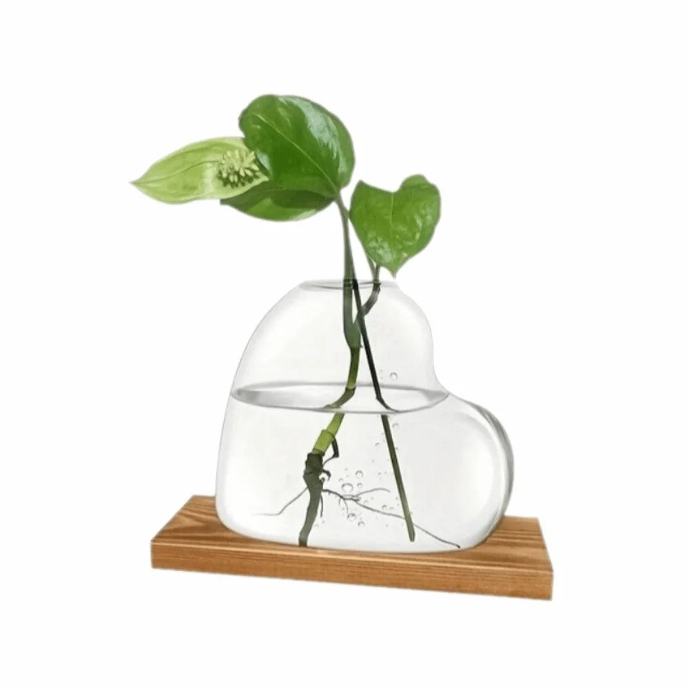 A love-shaped hydroponic glass vase with a green plant growing in water on a wooden stand.