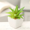 Artificial Succulent Bonsai for Desk & Home Decor