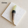 A natural Citrine crystal mounted on a dark wooden scepter wand for spiritual decor.