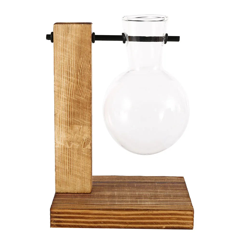 A clear glass hydroponic terrarium vase sits on a wooden stand with a black rod mount.