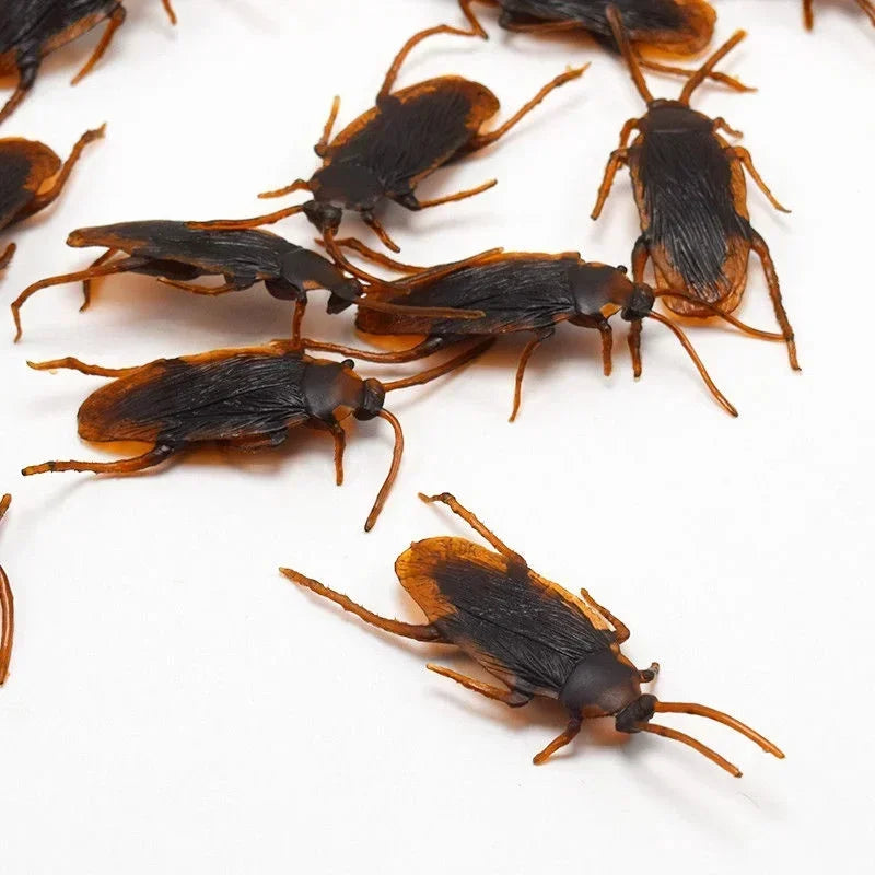 Several dark brown plastic cockroach gag toys scattered on a white background.