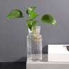A glass vase holds a green plant with large leaves against a gray background.