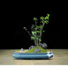 Glazed ceramic bonsai flower pot with green moss and small plants on a wooden surface.