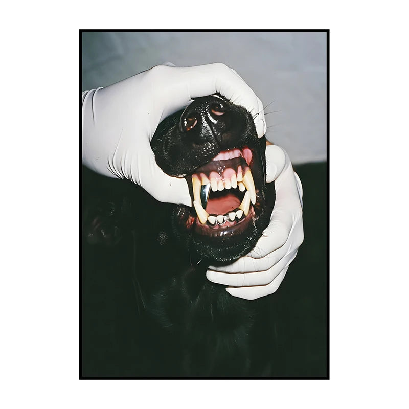 A hand in a white glove holds the open mouth of a black dog against a dark background.
