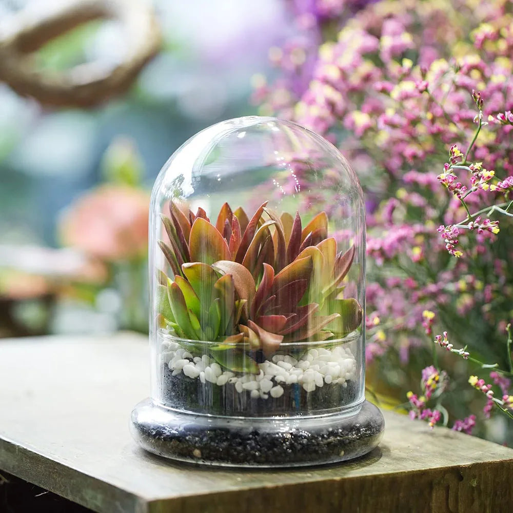 A glass cloche terrarium filled with moss and small plants sits on a wooden surface amidst pink flowers.