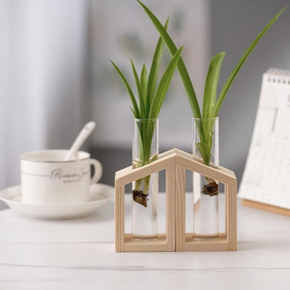 A glass test tube propagation station with a wooden stand holding two green plant shoots.