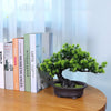 A green artificial bonsai tree in a dark pot sits on a wooden table next to several books.