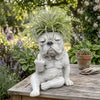 Sculpture réaliste d'une tête de bouledogue français avec de la verdure, assise sur une surface en bois.