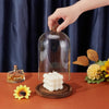 A hand is placing a white candle inside a glass dome cloche on a wooden base for display.