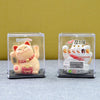 A clear plastic box containing a solar-powered waving lucky cat figurine with a red collar and gold jewelry.
