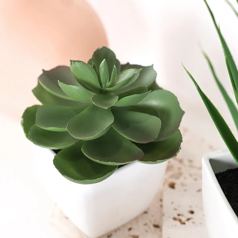 Set of 3 Artificial Evergreen Bonsai Plants