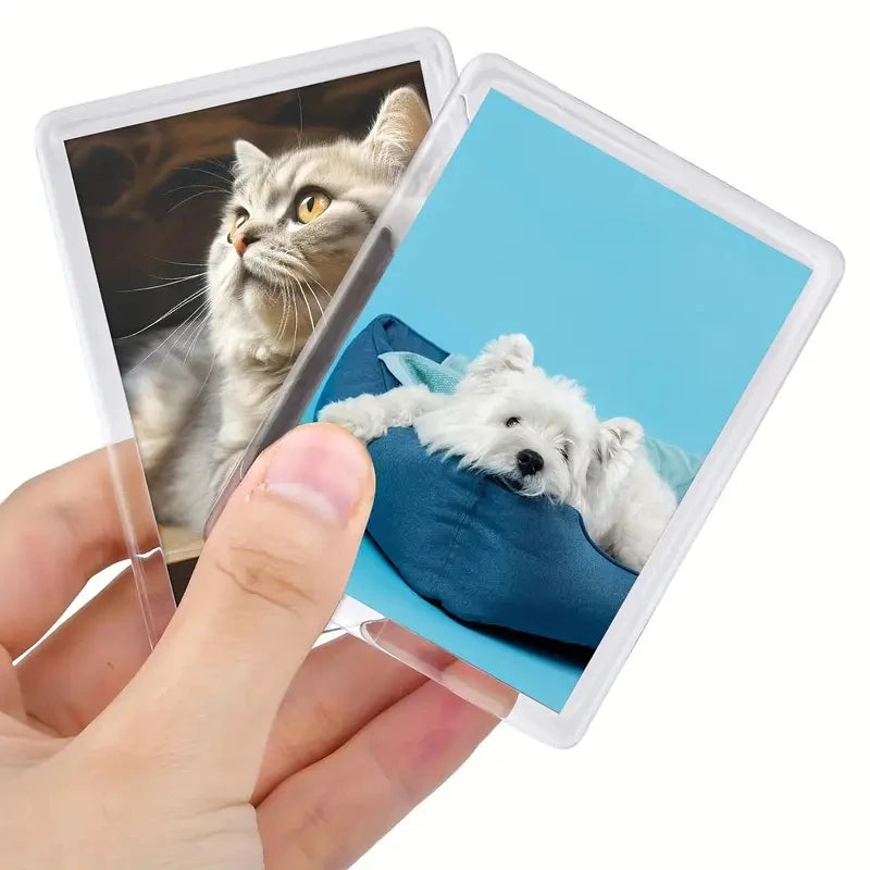 A hand holds a magnetic mini photo frame displaying a cat and a white dog.