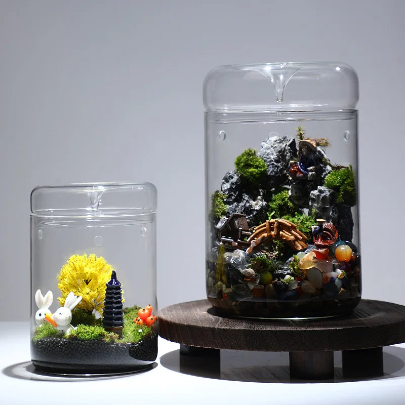A clear glass decor vase holds various mosses, rocks, and small plants on a dark wooden stand.