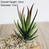 Artificial Succulent Bonsai for Desk & Home Decor