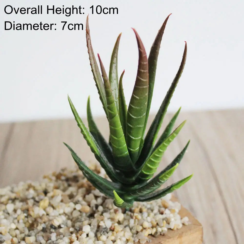 Artificial Succulent Bonsai for Desk & Home Decor