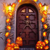 A dark wooden door decorated with glowing orange marigold lights and dried foliage for festive Halloween or autumn decor.