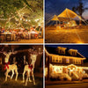 A large, illuminated deer sculpture made of fairy string lights standing in a yard at night.