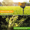 A solar panel is shown charging fairy lights, with a string of lights illuminating a path in a garden at night.
