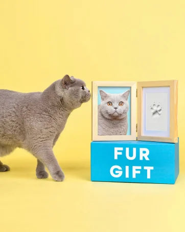 A gray cat stands next to a wooden box labeled FUR GIFT, with an open frame showing a paw print.