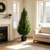 An artificial cedar topiary tree in a black pot stands in a bright, well-lit living room.
