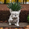 Grumpy French Bulldog Resin Planter Set