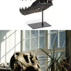 A realistic dinosaur skull resin sculpture displayed on a dark stand.
