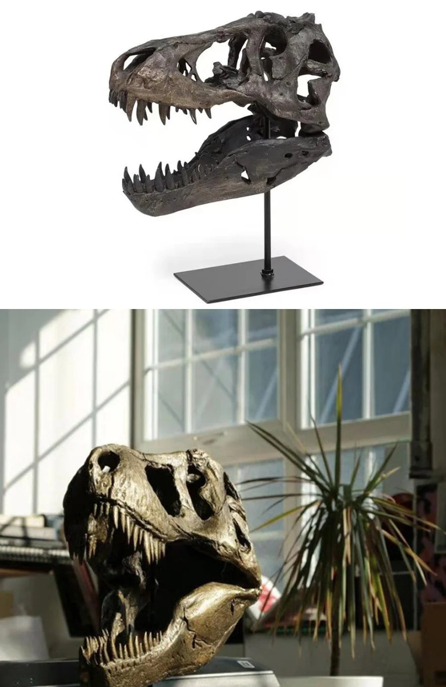 A realistic dinosaur skull resin sculpture displayed on a dark stand.