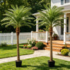 Artificial golden palm tree planted in a black pot on a sunny lawn near a white picket fence and house.