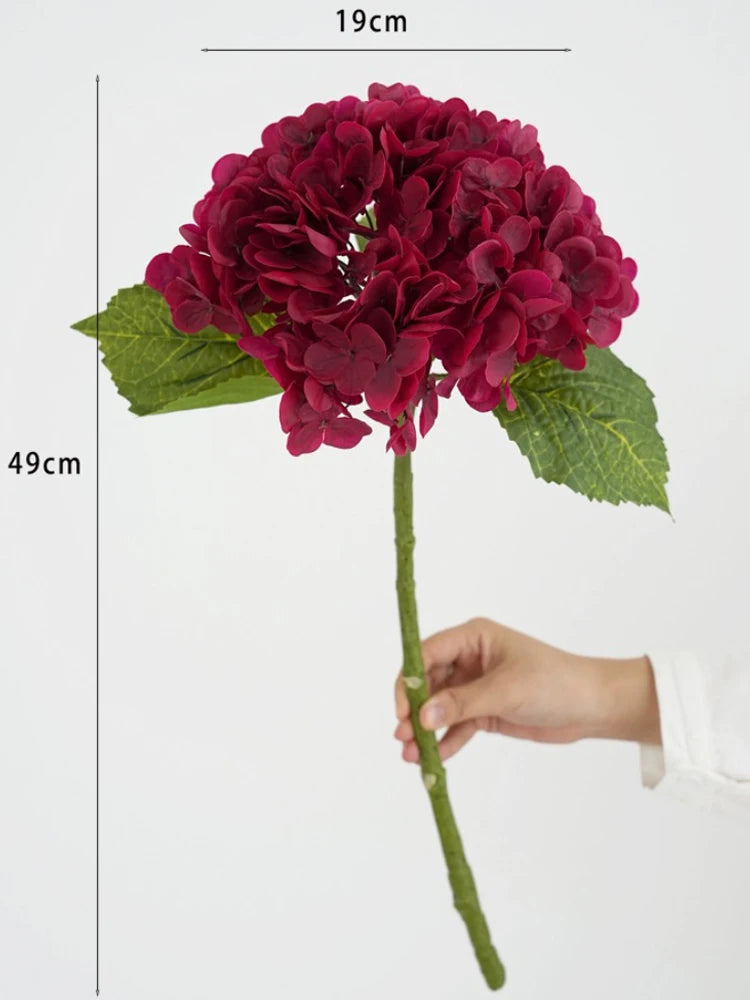 A deep magenta hydrangea flower cluster on a green stem, shown next to a measurement scale.