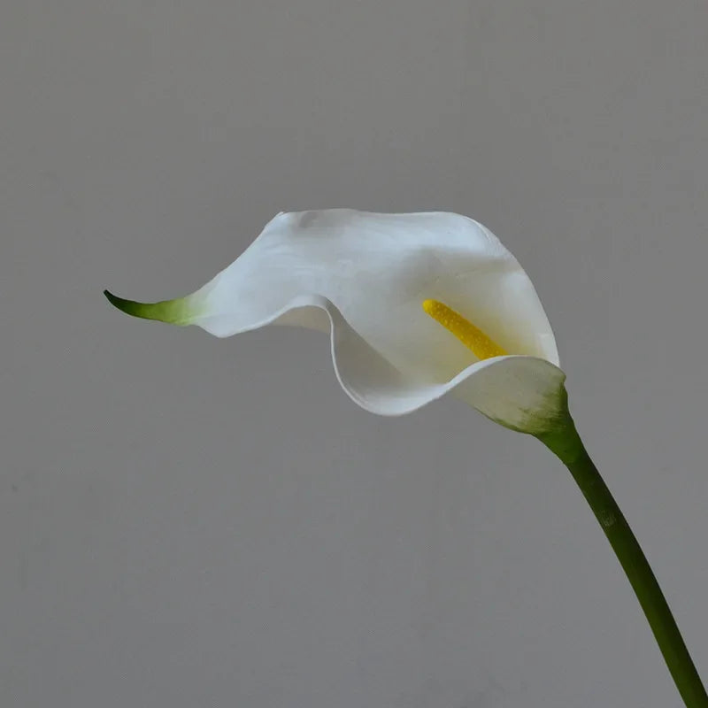 A white calla lily flower with a yellow center and green stem.