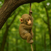 A small, realistic monkey figurine is hanging from a vine on a tree branch in a lush green forest setting.