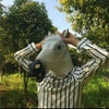 A person is holding a realistic white horse mask up to their face outdoors.