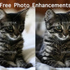 A side-by-side comparison showing free photo enhancements on a cat's image.