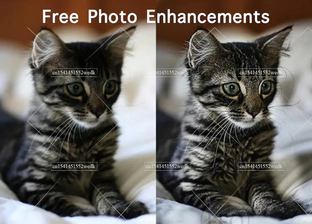 A side-by-side comparison showing free photo enhancements on a cat's image.
