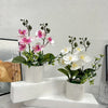 Artificial pink and white phalaenopsis orchids displayed in white pots on a white shelf