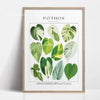 Botanical Philodendron canvas wall art featuring various shades of green and white leaves.