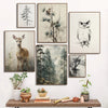 A collection of vintage forest animal canvas wall art featuring deer, owls, and woodland scenes.